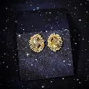 ST01 earrings.webp