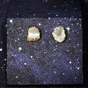 ST05 earrings small.webp