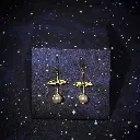 ST21 earrings.webp